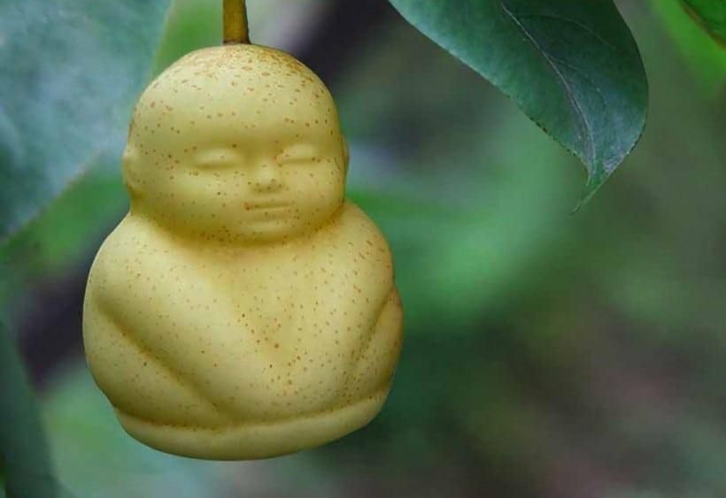 Chine : Mangez vos fruits et Bouddhas