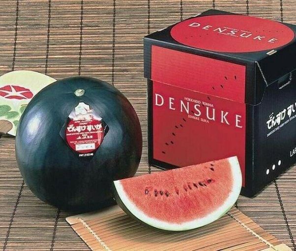 La Pastèque japonaise Densuke