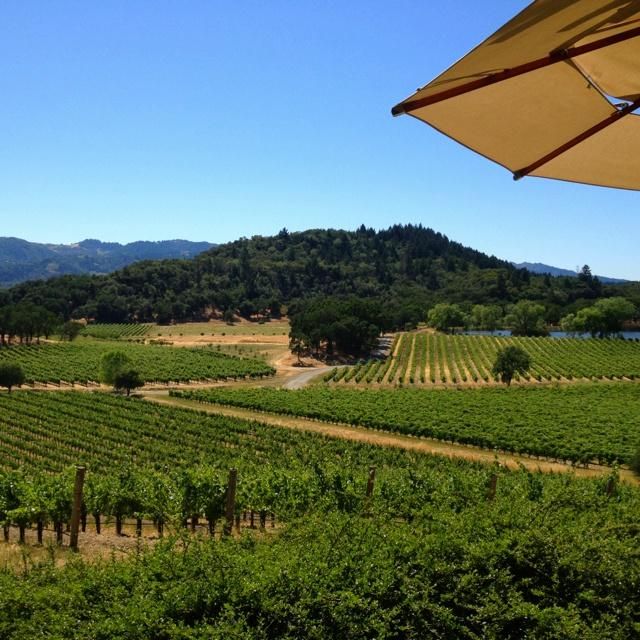 LVMH Moët Hennessy acquiert le vignoble Joseph Phelps Vineyards